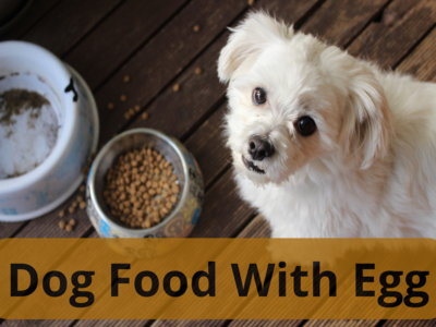 Dog Food With Egg: Best Egg-Protein Foods For Dogs (April, 2024)