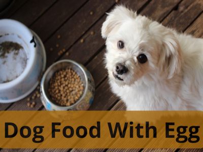 whats the most popular dog food