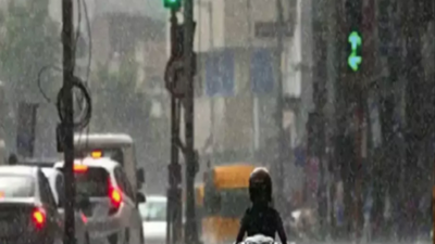 banner img