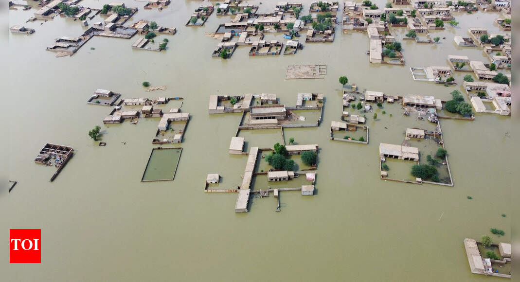 Amid chill in ties, flood-hit Pakistan mulls food imports from India