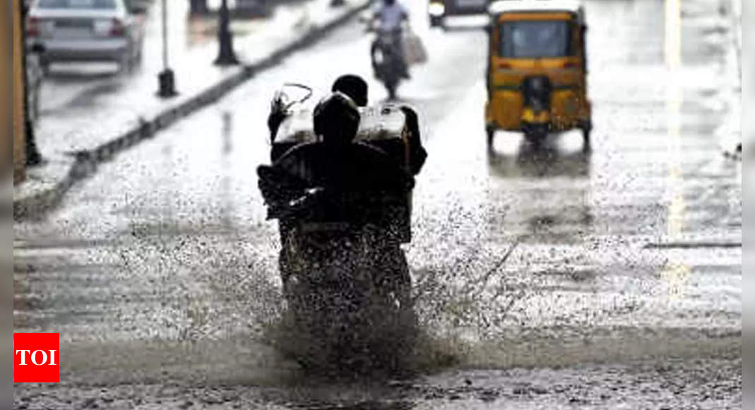 Schools, Colleges Shut In 4 Tamil Nadu Districts Due To Heavy Rain ...