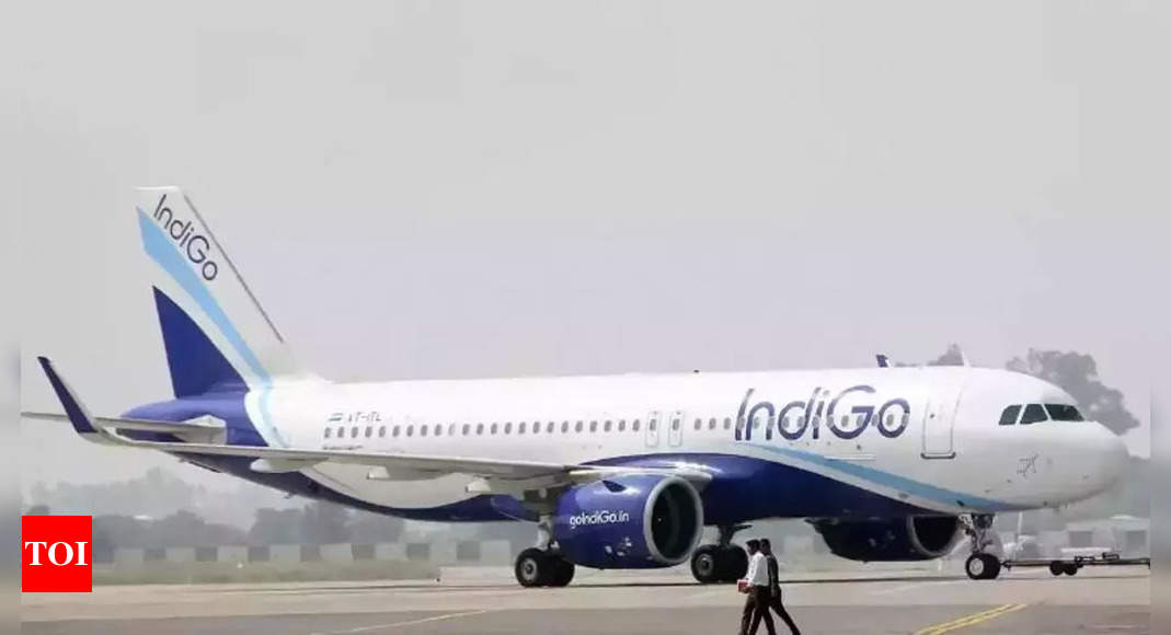 Engine vibration: IndiGo Udaipur-bound flight safely returns to Delhi – Times of India