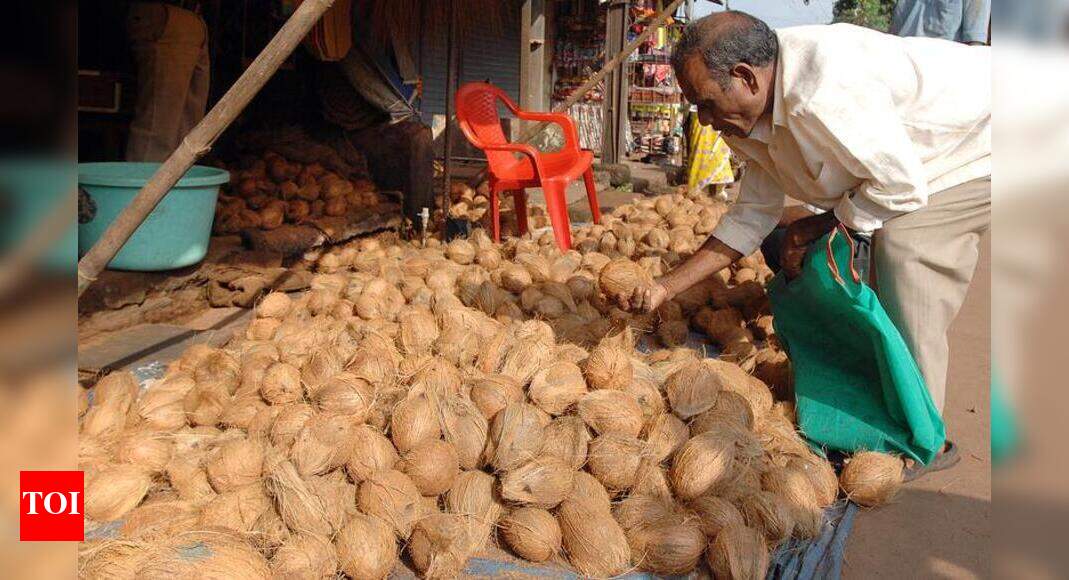 Junk coconut shells pitched as alternative to single-use plastic | Goa ...