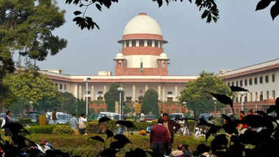 SC deputes judge to interview Lalitpur gang-rape survivor