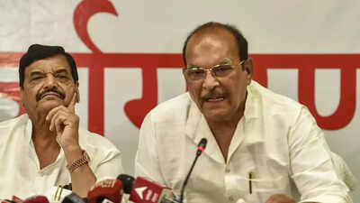 Shivpal, Dp Yadav Joinhands To Unite Yadavs | Lucknow News - Times ...