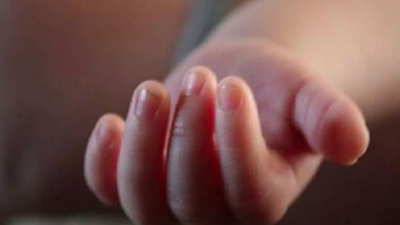 banner img