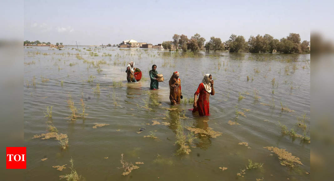Pakistan rescues 2,000 from floods as UN warns on child deaths – Times of India