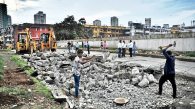 Mumbai: Razing of Carnac Bridge kicks off, exercise to take 3 months