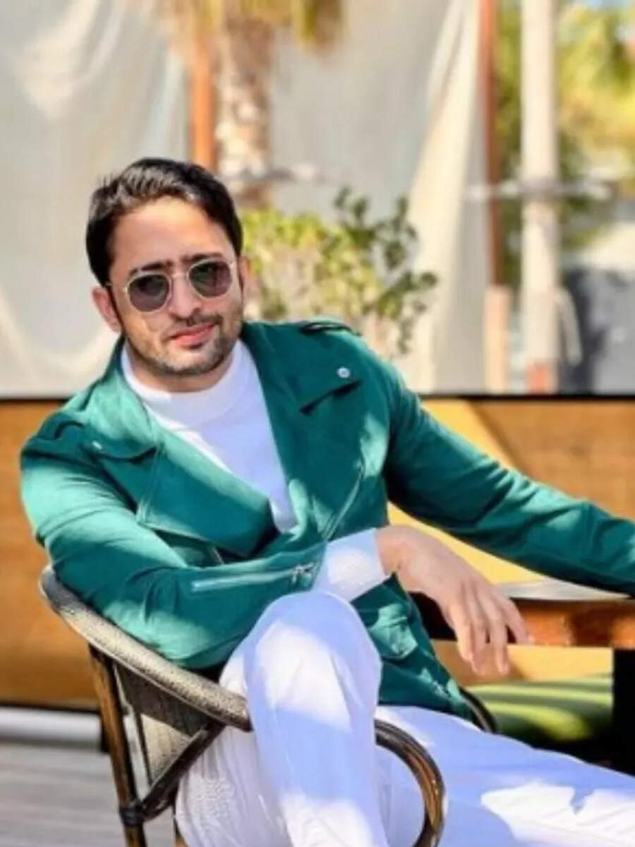 Take inspiration from Shaheer Sheikh’s luxurious home | Times of India