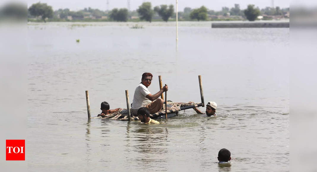 US Congress members to visit flood-hit Pakistan tomorrow – Times of India