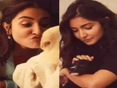 Anushka Sharma feels 'pupped-up' in her latest post
