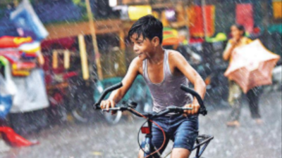 banner img