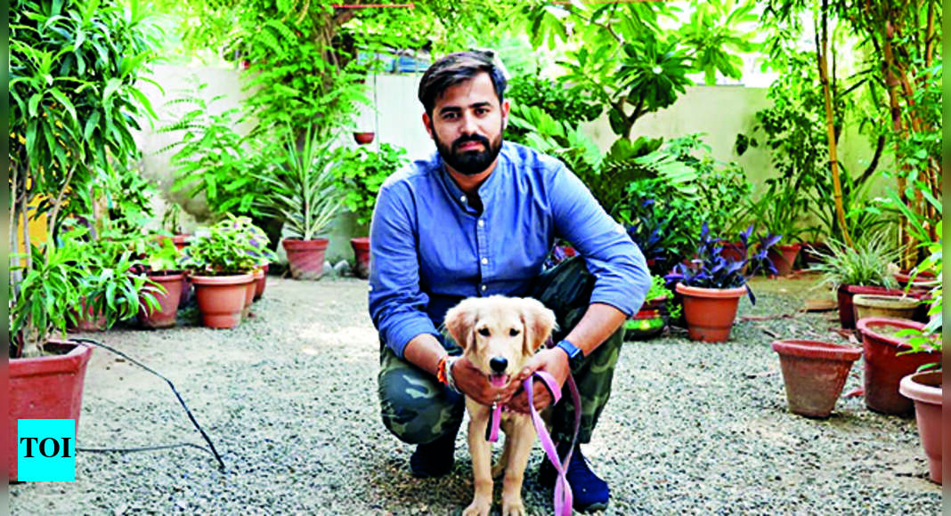 Meerut Meerut Proposal Set To Make Owners Of ‘foreign Dogs’ Pay 500