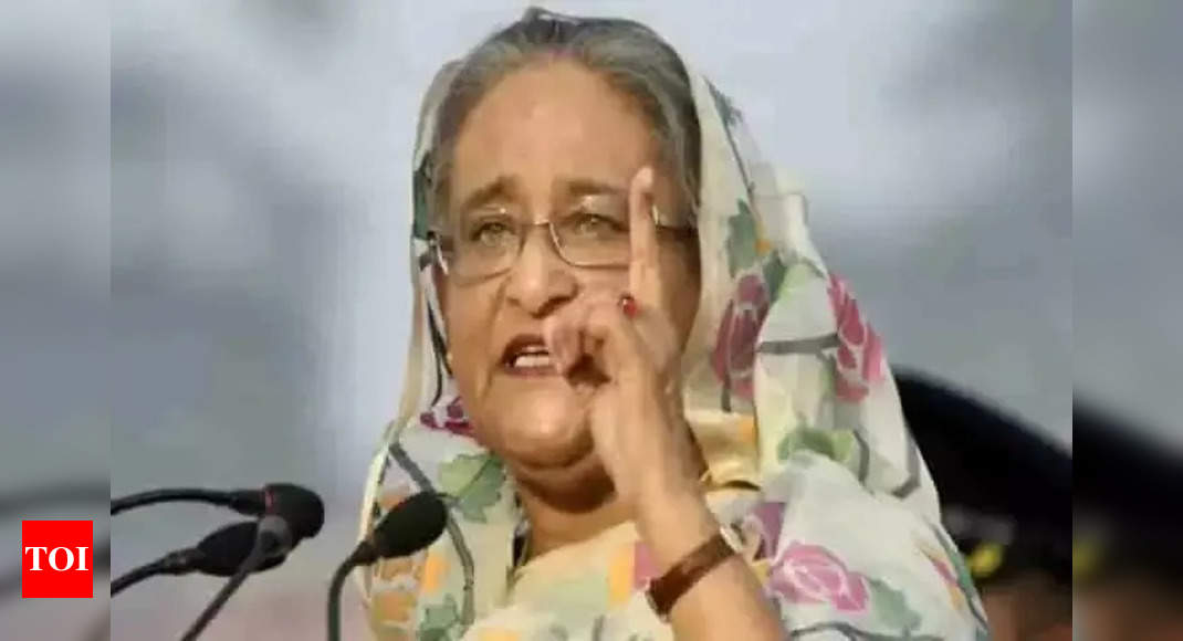 Over a million Rohingya migrants a ‘big burden’ on Bangladesh: Sheikh Hasina, feels India can play major role – Times of India