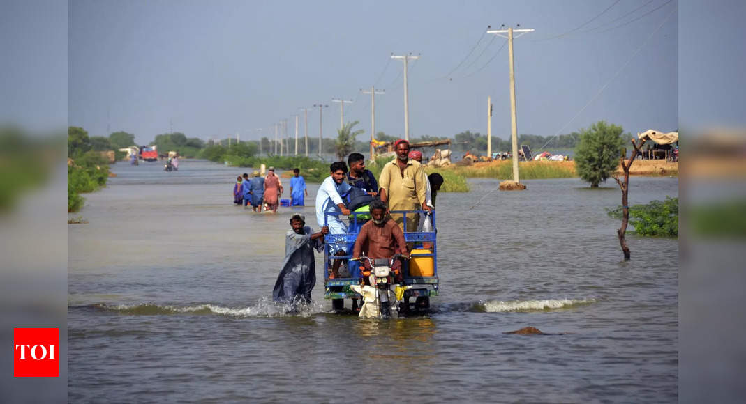 Nearly 1,300 people die due to devastating floods in Pakistan – Times of India