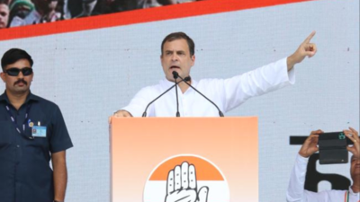 Hatred and anger rising in India since BJP govt came at Centre: Rahul Gandhi