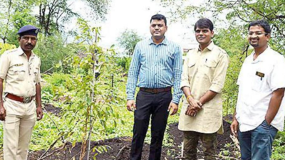 Pune: Rare local species to green Taljai Hills in a few years