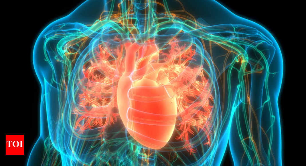 Nonlab screening tool assesses CVD 85 accurately Study Ahmedabad