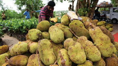 Of jackfruit biryani, vegan meat and Goa’s problem with the fibre-rich fruit