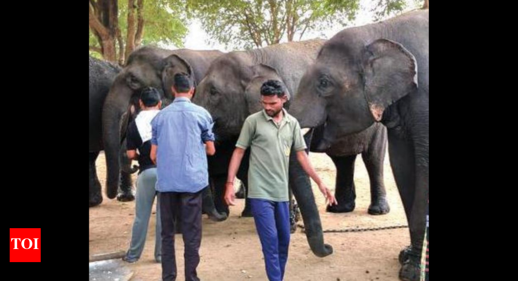 Maharashtra Gadchiroli MP, locals warn of stir against shifting