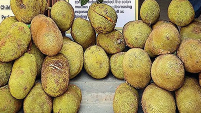Goa: ICAR to get jackfruit excellence centre