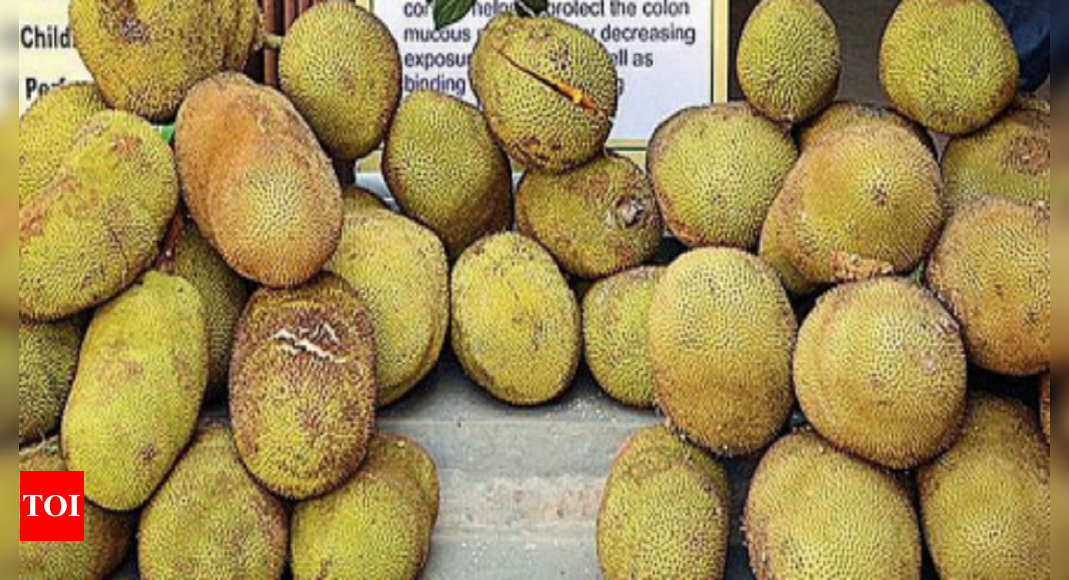 Goa: ICAR to get jackfruit excellence centre