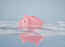 Your negative thoughts with money could be rooted in trauma. Find out how.