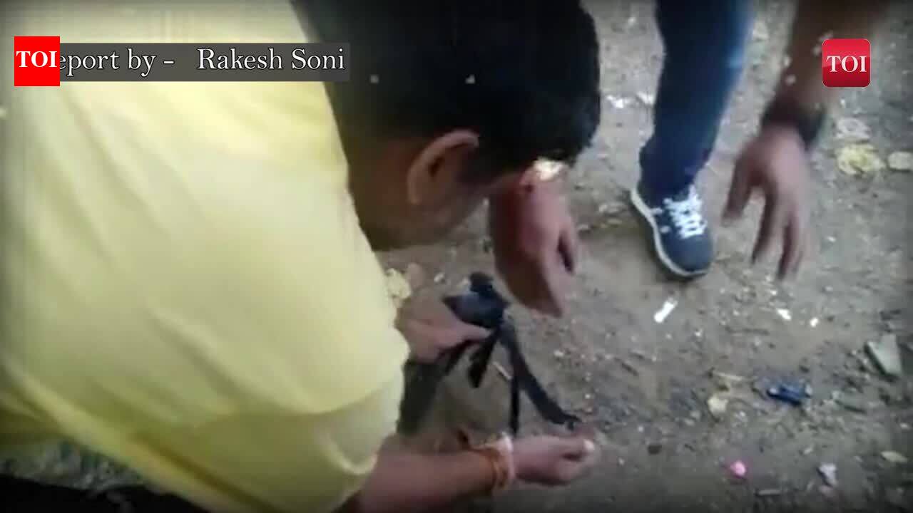 Chinese strings become a deadly trap for a crow, freed by locals