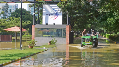 banner img