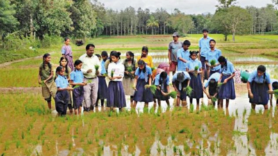 Karnataka: Students get hands-on experience in agriculture | Mysuru ...