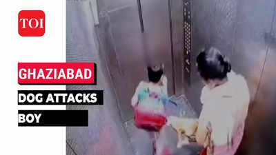 CCTV: Pet dog bites boy in society's lift in UP's Ghaziabad