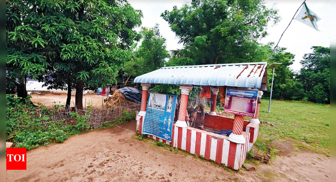 Where lies Raja Raja Chola? | Chennai News - Times of India