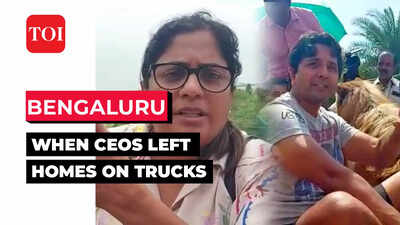 Bengaluru water logging: CEO climbs truck with pet dogs to escape rain fury