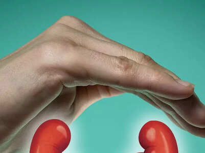 Foods to improve kidney function
