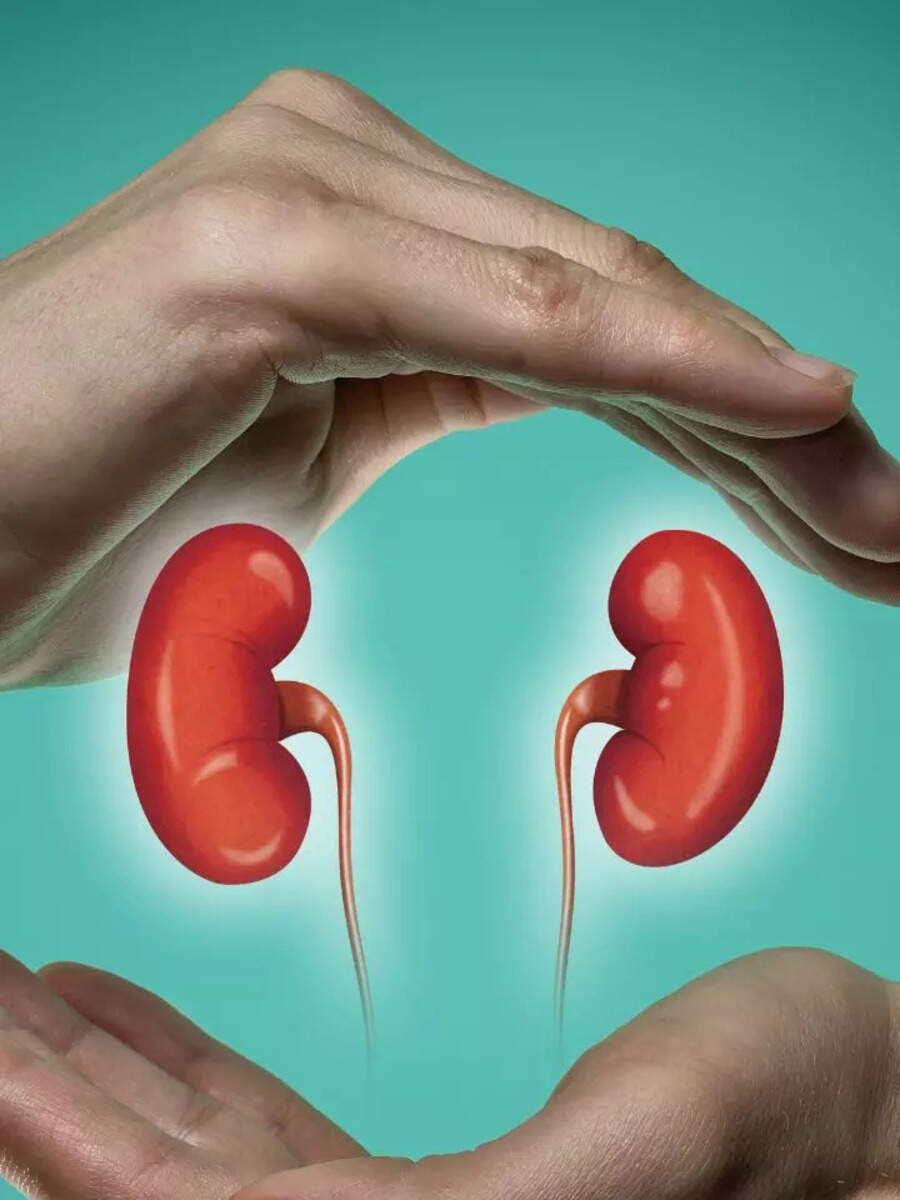 Foods To Improve Kidney Function Times Of India