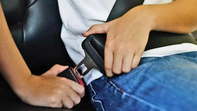 Govt plans to introduce seatbelt alert for rear seat passengers, says Nitin Gadkari