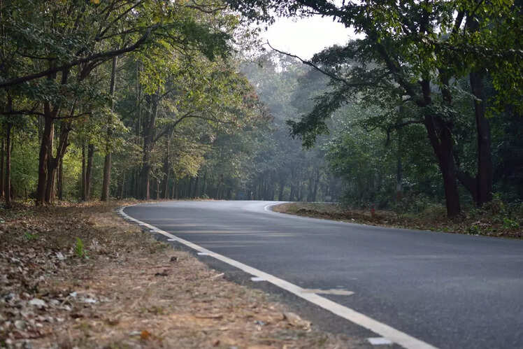 Dandeli 