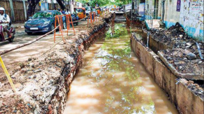Greater Chennai Corporation to ensure over 450 areas hit in last monsoon state dry this year