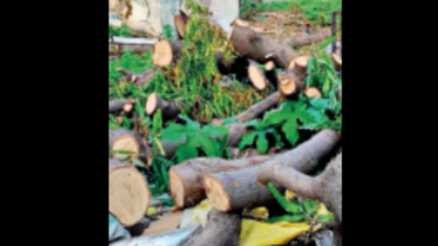 banner img