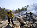 Injuries, destruction reported in Northern California blaze