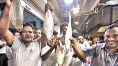 First Bangladesh consignment of 8 tonnes of hilsa hits Kolkata markets