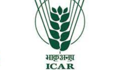 Goa: ICAR develops tech for production of gluten-free vermicelli