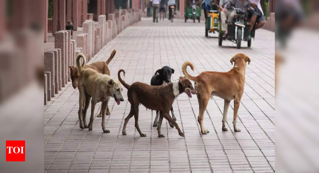 Rabies deaths in Kerala despite vaccination; Kerala asks Union
