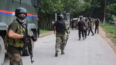 Two terrorists killed in 'chance encounter' in J&K's Anantnag