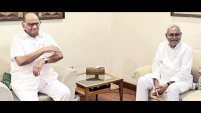 BJP to taste its real strength in next Bihar Lok Sabha polls: CM Nitish Kumar
