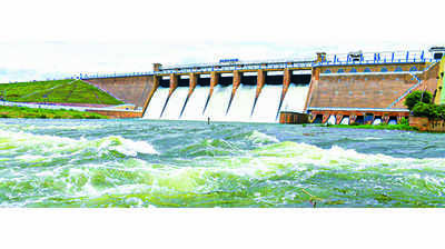 Water released from Vaigai for single crop in three dists