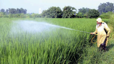 Govt Waives Mandi Taxlevied On Rice Exporters | Lucknow News - Times of ...