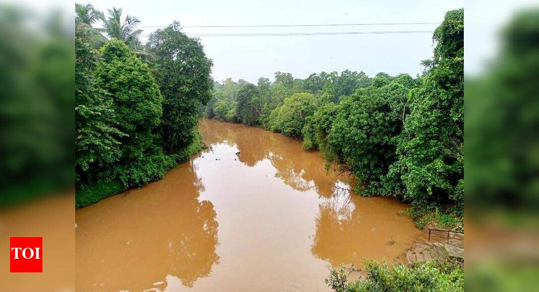 Officials draw samples of Khandepar, Dudhsagar rivers after high