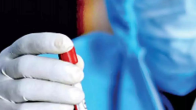 banner img