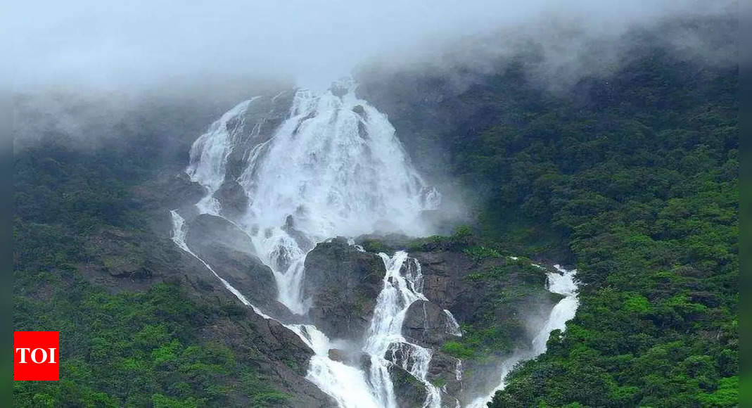 Dudhsagar Goa Visit to Dudhsagar during rains is illegal